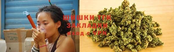 индика Богданович