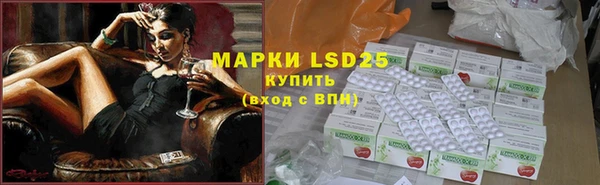 индика Богданович