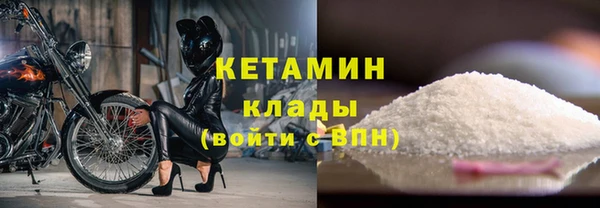 индика Богданович