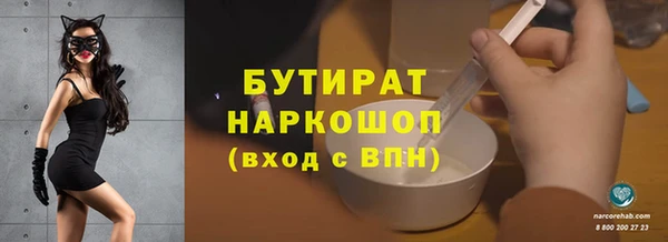 индика Богданович