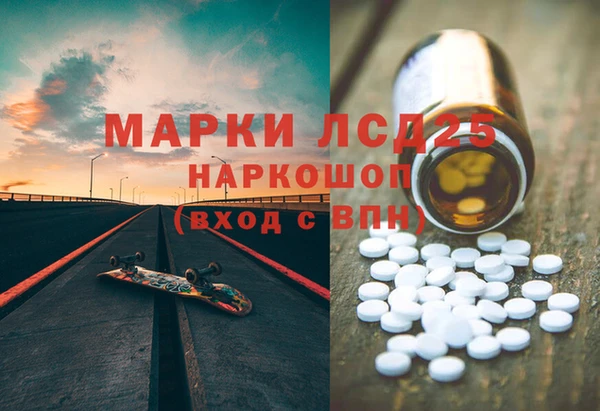 прущие крисы Бородино