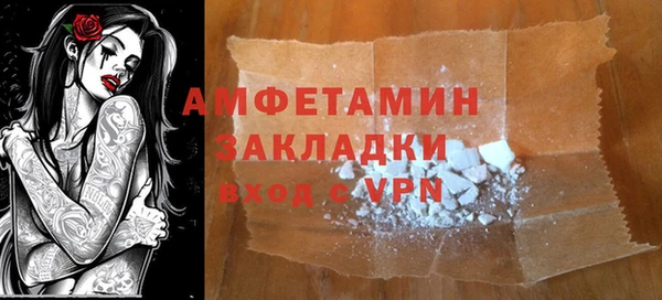 индика Богданович