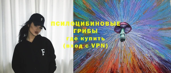 прущие крисы Бородино