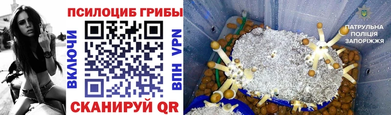 Галлюциногенные грибы прущие грибы Вуктыл